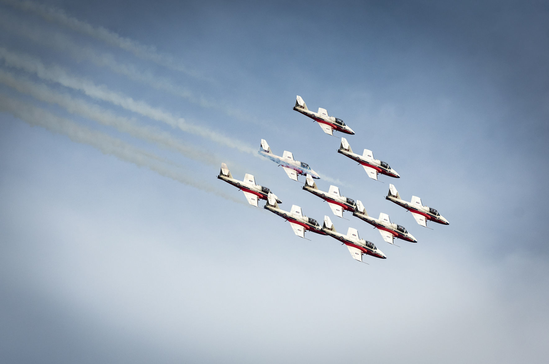 Snowbirds